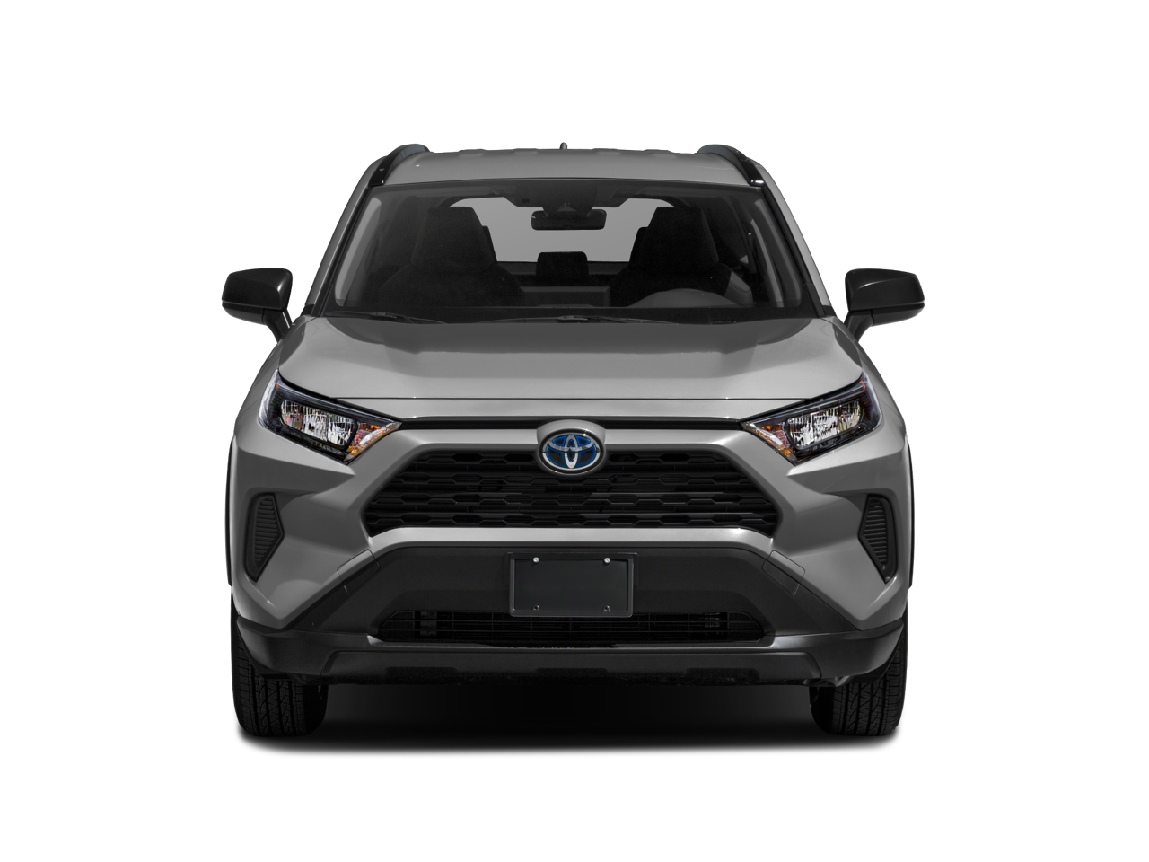 2019 Toyota RAV4 Hybrid Hybrid LE