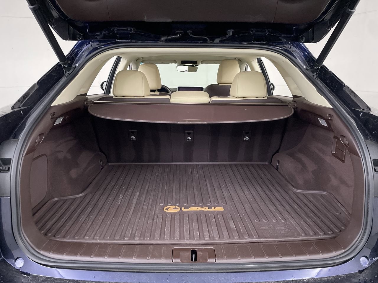 2018 Lexus RX RX 350