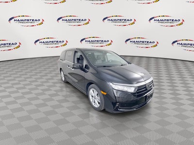 2023 Honda Odyssey Elite