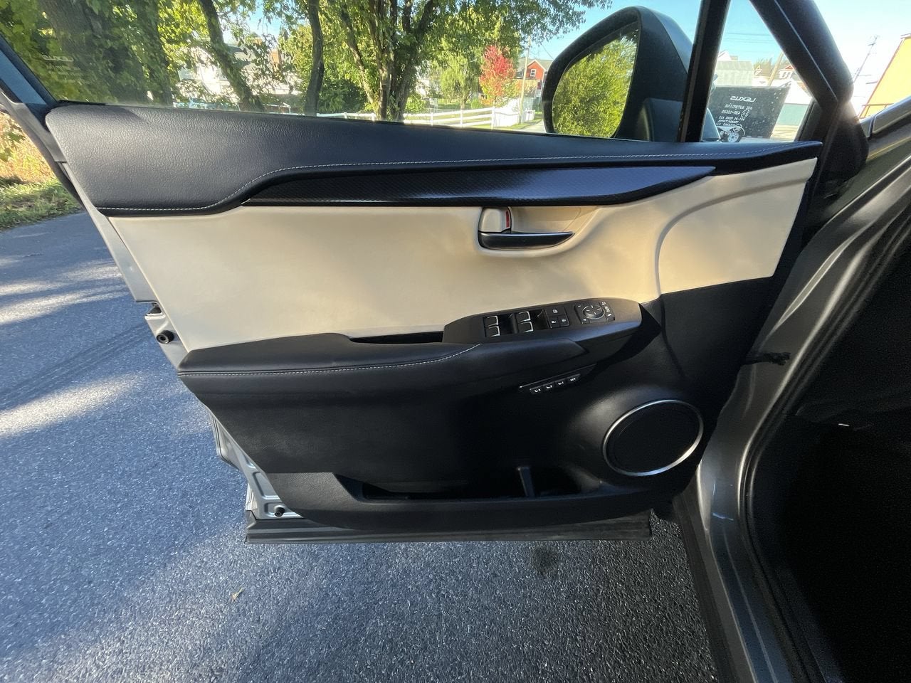 2019 Lexus NX NX 300h